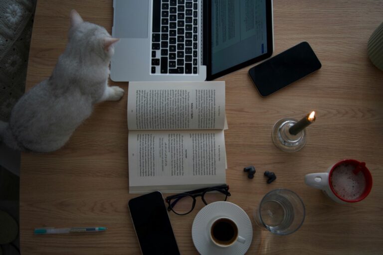 ノートPCと本のそばにいる猫
